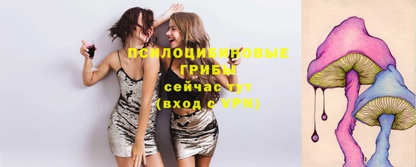 каннабис Арсеньев