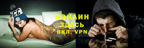 стафф Армянск