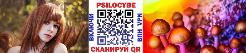 Псилоцибиновые грибы Psilocybe  Урус-Мартан 